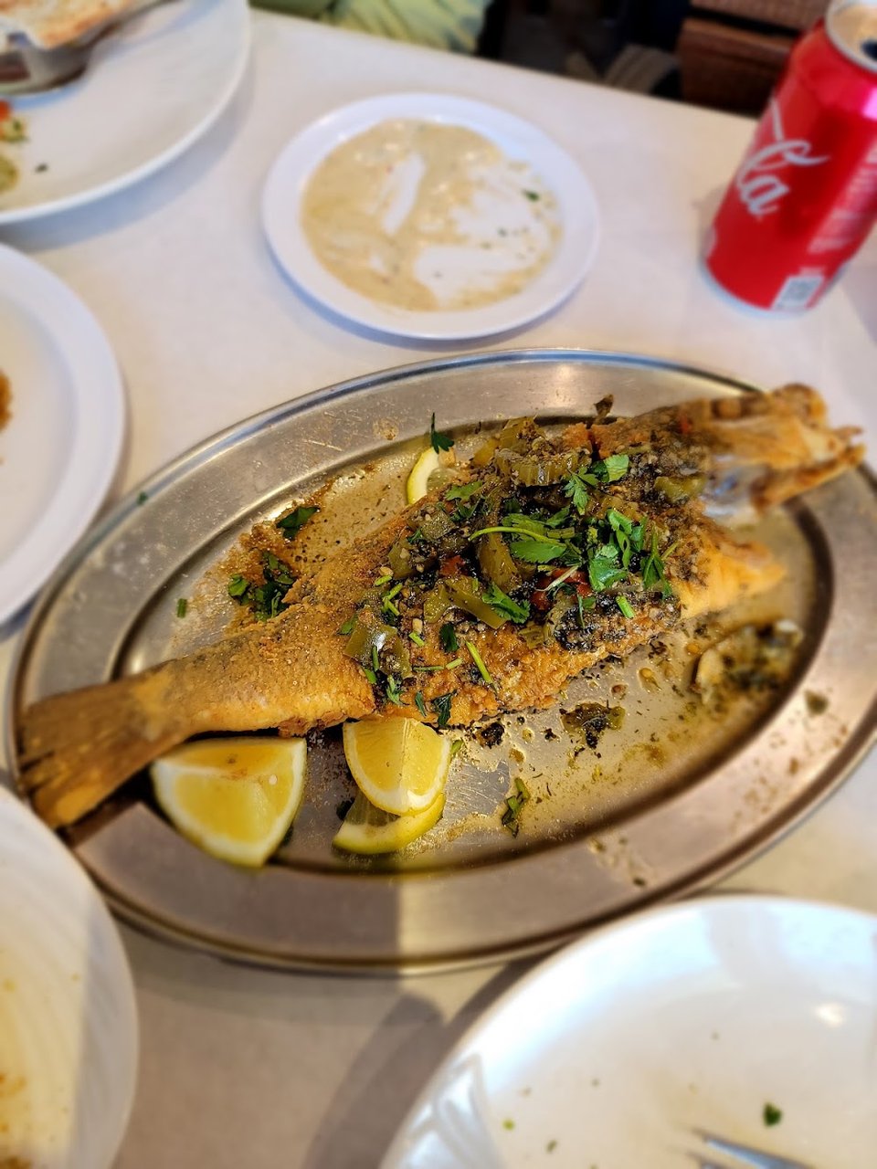 Red Snapper